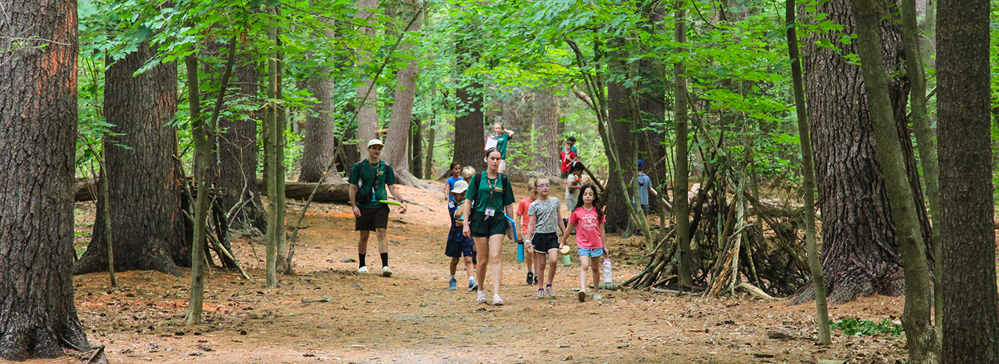 Group of campers cheering with their hands in the air